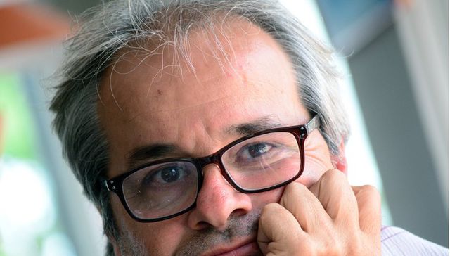 Pato salvaje