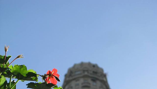 No te quedes en casa