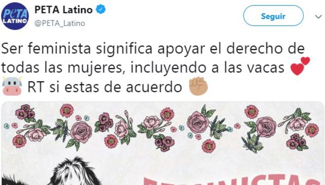 Sororidad vacuna