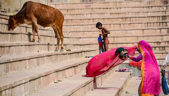 Reflexiones de Medio Mundo: escribe Martín Olascoaga