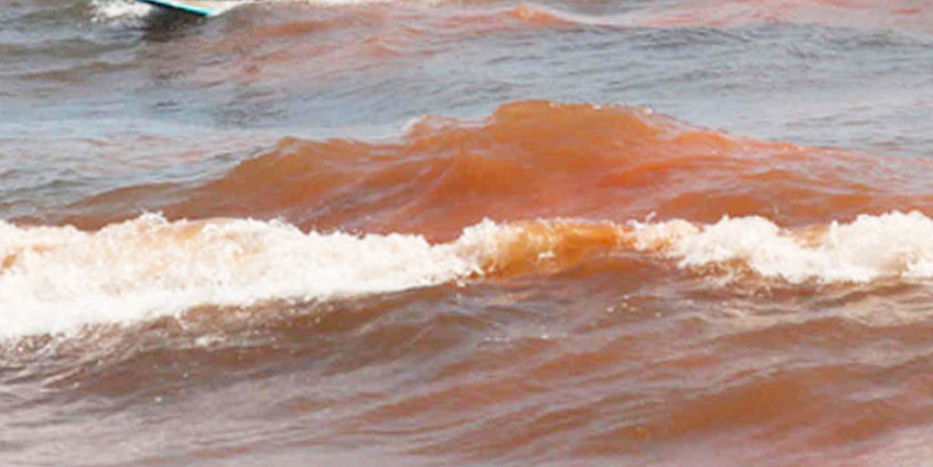 Miami me la confirmó