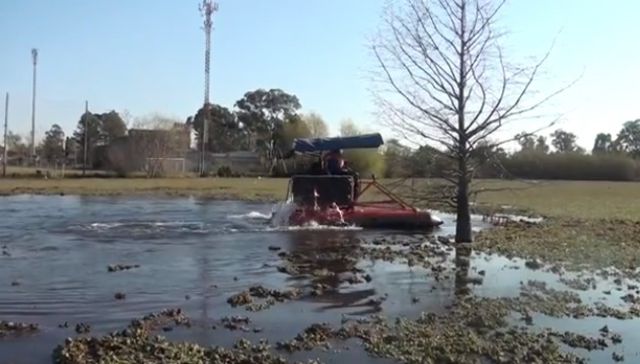 Todos por el lago