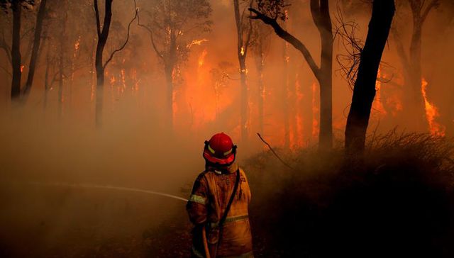Consecuencias a largo plazo