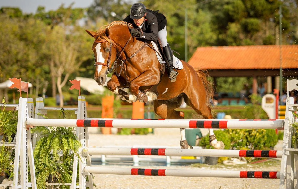 Equitación Martín Rodríguez se consagró campeón nacional de salto en