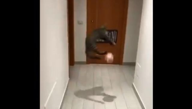 De palo a palo