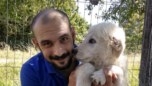 Vida de perros: por Andrés Peirano