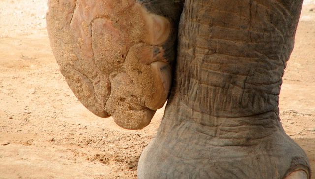 ¿Buscando trompadas?