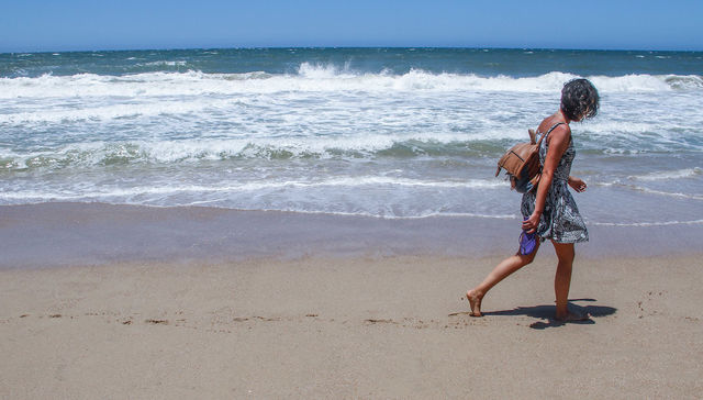 Después de las golondrinas