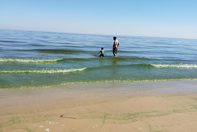 Playas De Colonia Con Agua Totalmente Verde Por Las Cianobacterias