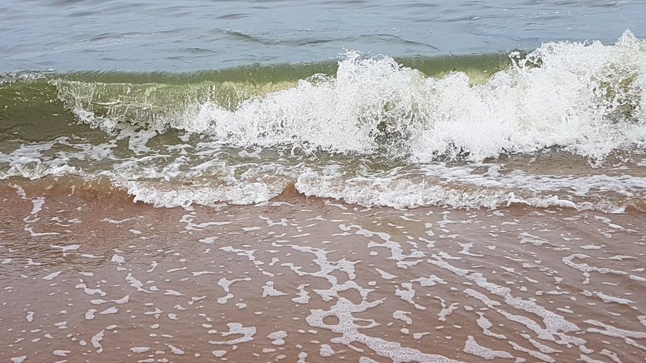 Colocaron banderas sanitarias en Punta del Este por presencia de cianobacterias