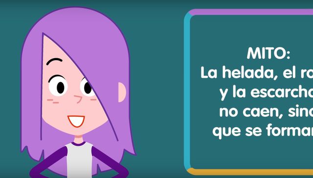 Ver para entender