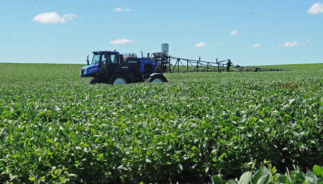 Escribe Marcelo Halperín