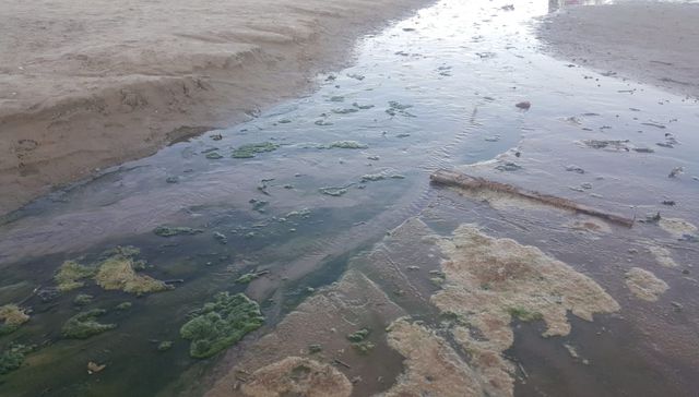 Escribe Eduardo Gudynas