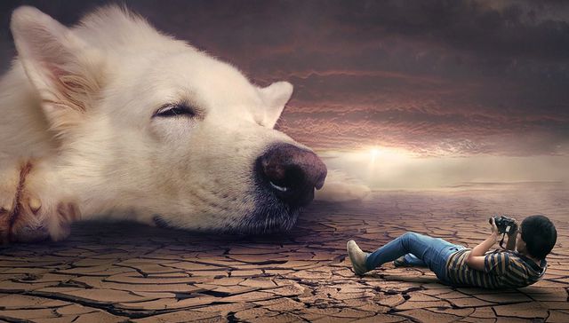 Por The New York Times