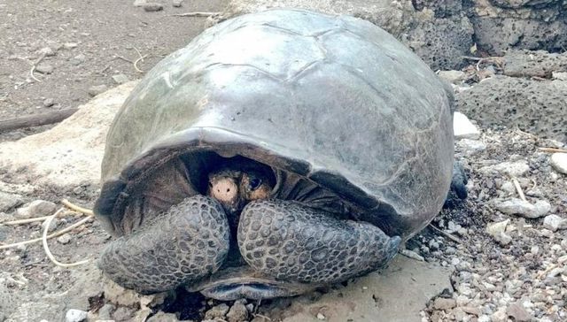 Respeto al patrimonio natural