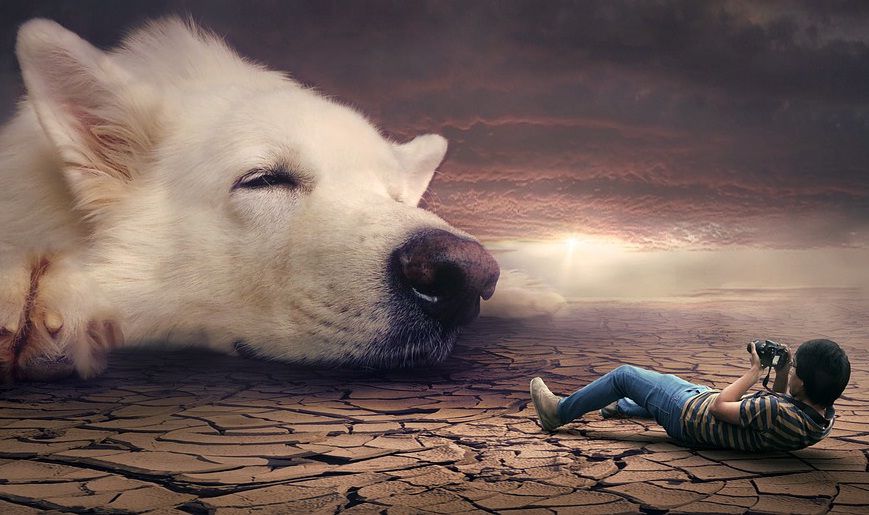 Por The New York Times