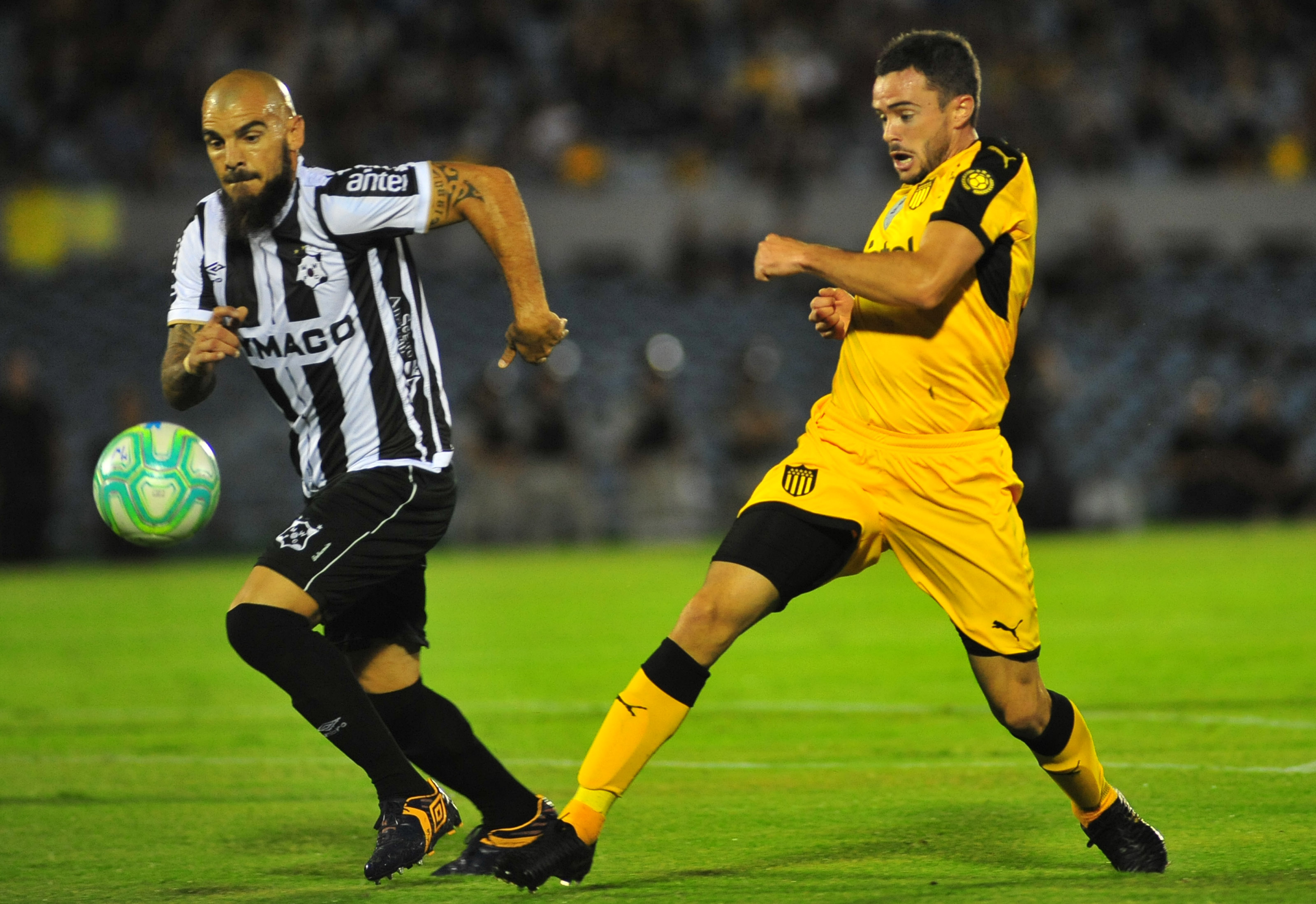 Copa Sudamericana: Definieron los horarios de los partidos ...