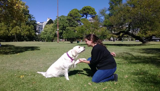 Vida de perros: por Andrés Peirano