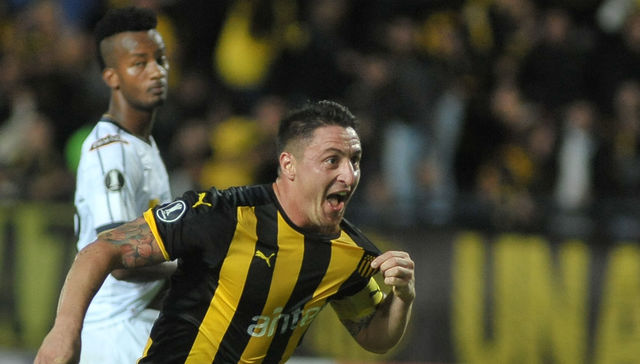 Cebolla de exportación