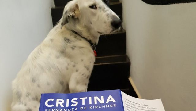 Un mordisco a la expresidenta