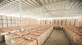 Línea de 4 y a defender