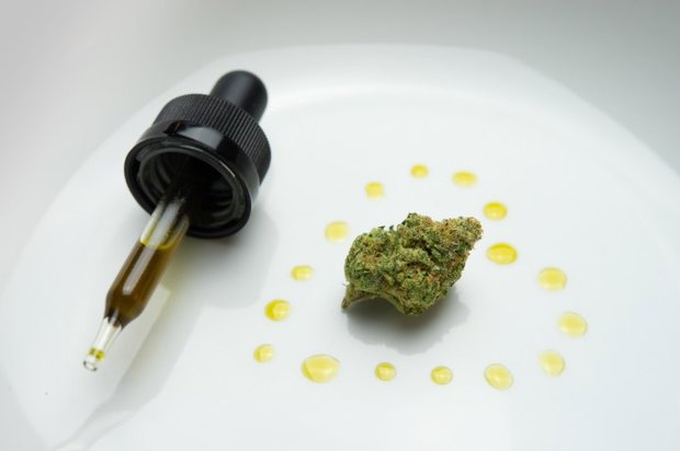 Piden “romper mito” del cannabis terapéutico y el planteo sobre el tránsito en Montevideo