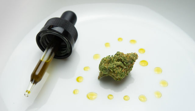 Escribe Diego Olivera Couto