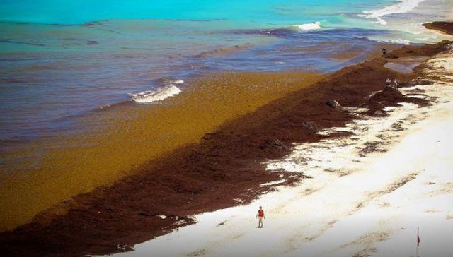 Todo sirve para algo