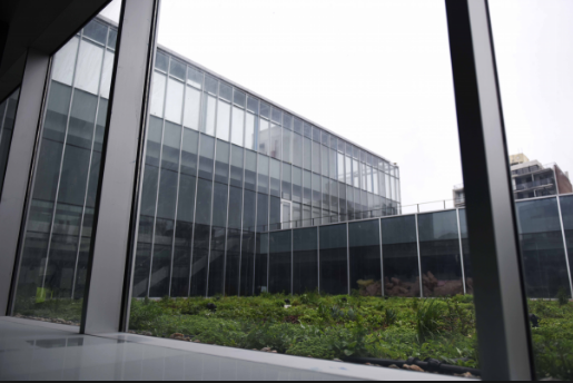 Encendé la lamparita