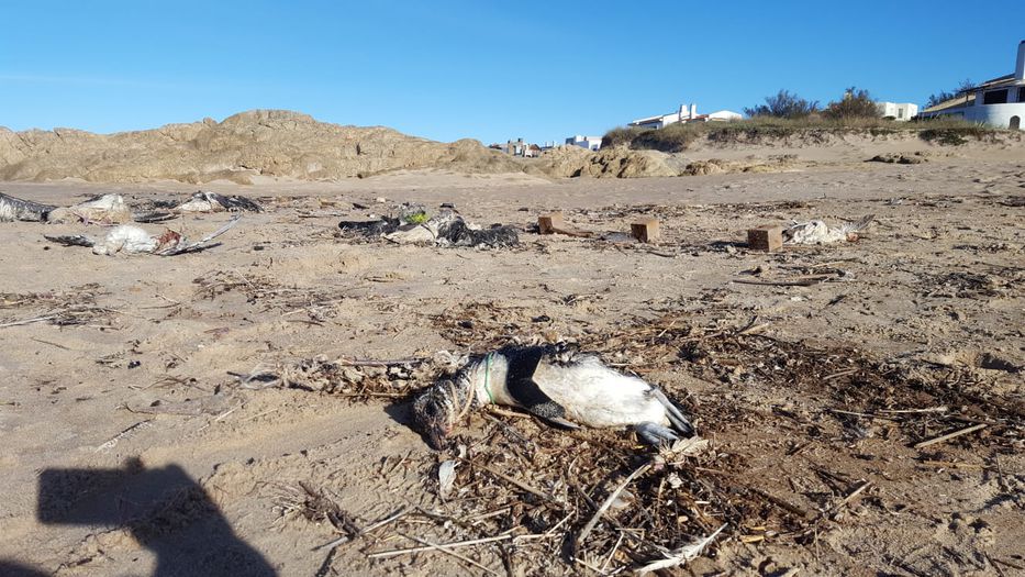 Dentro de los parámetros