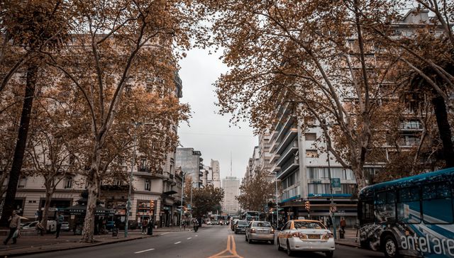 Escribe Leonor Courtoisie