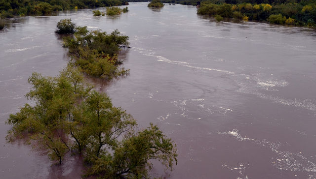 Escribe Eduardo Gudynas