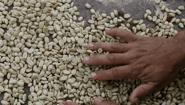 Por The New York Times