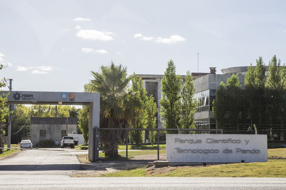 Todo lo que hay que saber