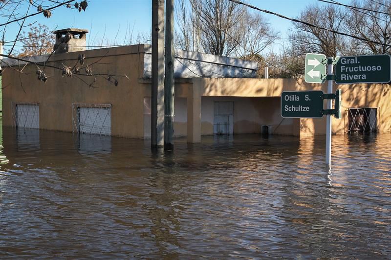 Encuesta Montevideo Portal: el país no está preparado para El Niño Godzilla