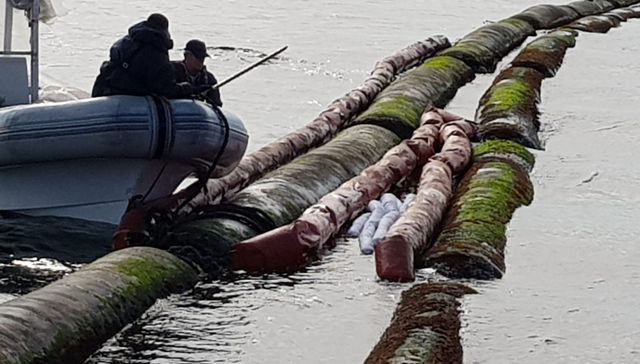 Desgracia con suerte