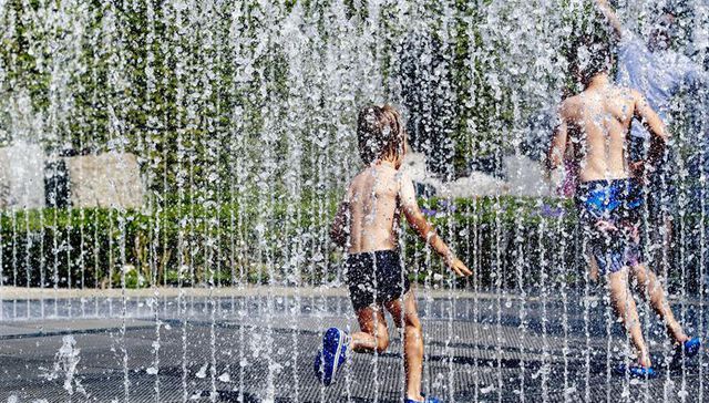 Para elegir la licencia