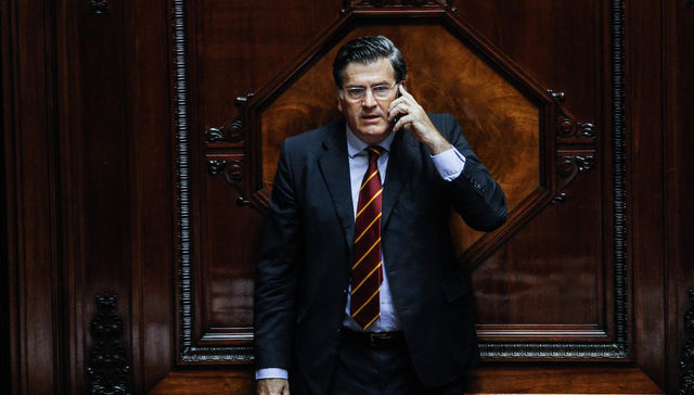 Cuando el gato no está