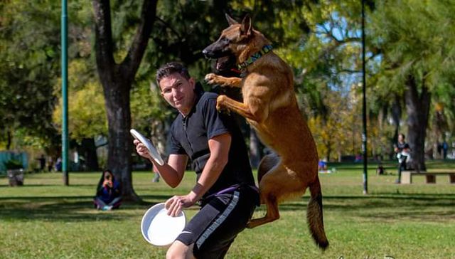 Vida de perros. Por Andrés Peirano