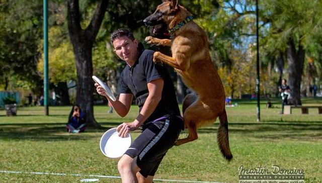 Vida de perros. Por Andrés Peirano