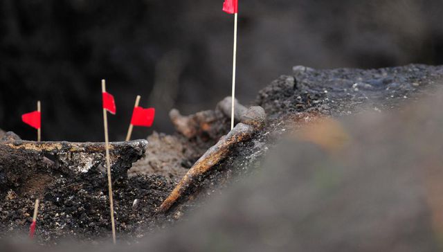 Hasta que se sepa la verdad