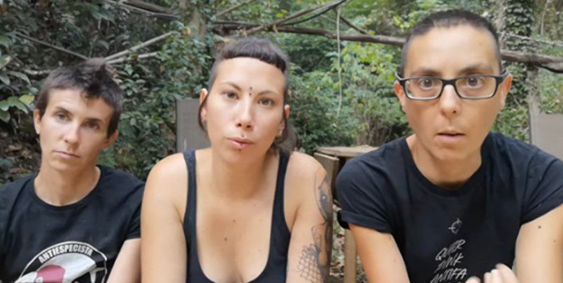 La ley del gallinero