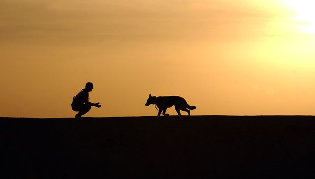 Vida de perros: por Andrés Peirano