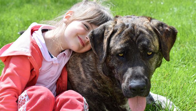 Vida de perros. Por Andrés Peirano