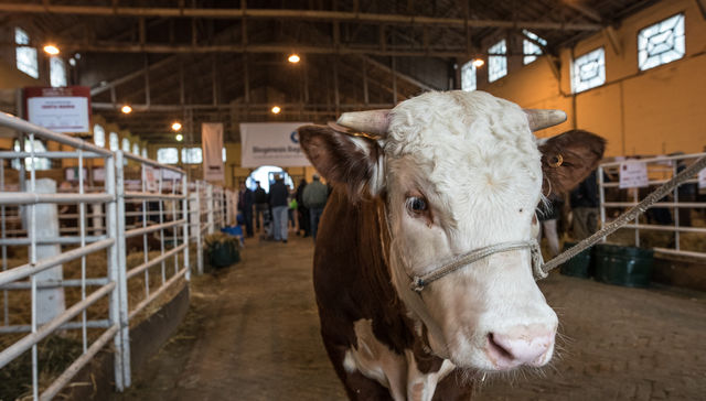 Hasta el último rincón