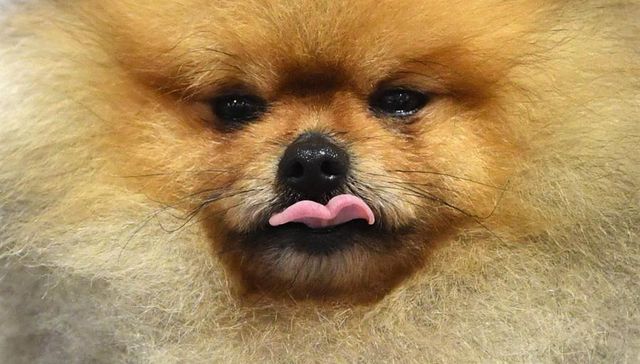 Y ¿por casa cómo andamos?