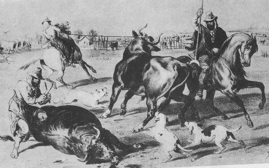 Los genes son ajenos