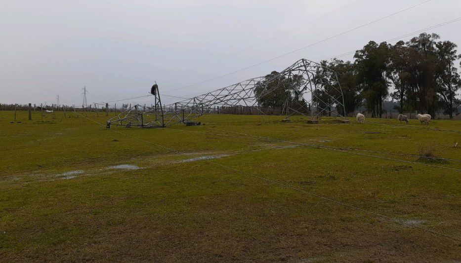 Cerro Largo: turbonada voló decenas de techos, dejó dos personas heridas y mató animales