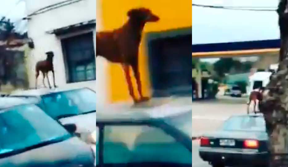 El viajar es un placer