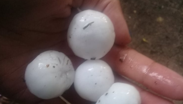 Lo que la lluvia nos dejó